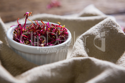 Chopped red cabbage in bowl