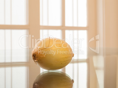 One whole onion reflected, with white background