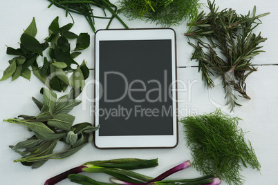 Various herbs with digital tablet on white background