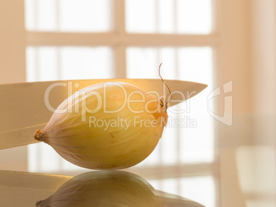 A ripe onion and knife reflected on white background