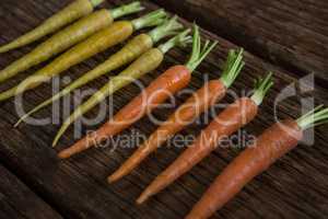Carrots arranged on wooden table