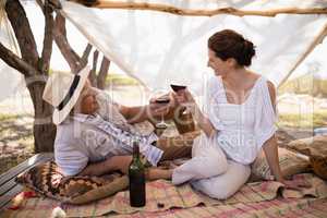 Happy couple toasting wine in cottage