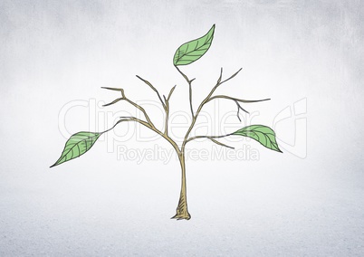 Drawing of Plant branches and leaves on wall