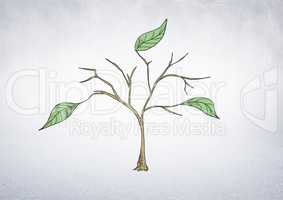 Drawing of Plant branches and leaves on wall