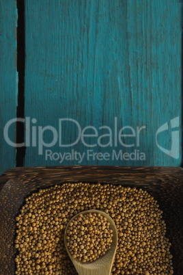 Coriander seeds in wooden bowl