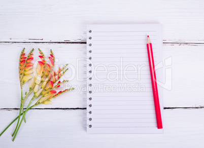 empty notebook in a line and a red pencil
