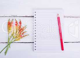 empty notebook in a line and a red pencil