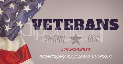 veterans day flag