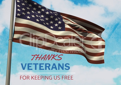 veterans day flag