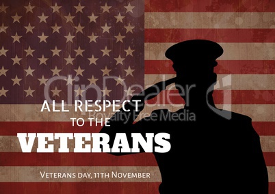 veterans day flag