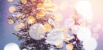 Snow covered trees with bokeh in foreground