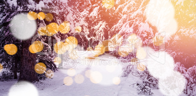 Defocused lights against snow covered trees on mountain