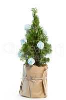 Christmas tree with decoration against white background