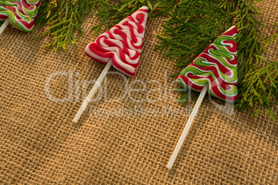 Close up of mint candies with pine twigs