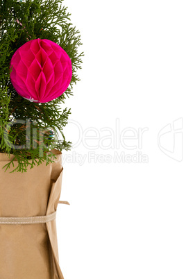 Christmas tree with decoration against white background