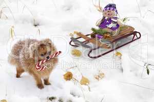 Christmas greetings, festive background for the images. 3D rendering.