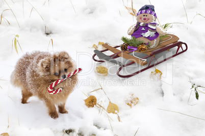Christmas greetings, festive background for the images. 3D rendering.