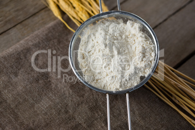 Flour inside sieve placed over wheat stem