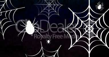Spiders and cobwebs halloween illustrations