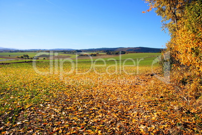 Herbstlandschaft,  autumn landscape