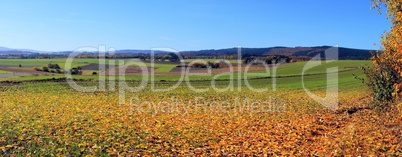 Herbstlandschaft Panorama, autumn landscape