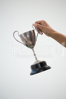Hand holding a trophy against white background Hand holding a trophy against white background