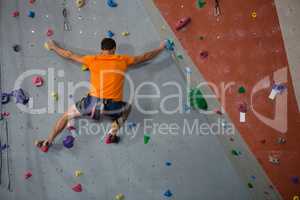 Rear view of athlete rock climbing in health club