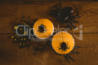 Cup cakes with artificial spider on wooden table
