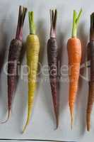 Overhead view of carrots arranged on table