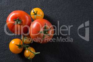 Tomatoes on black background