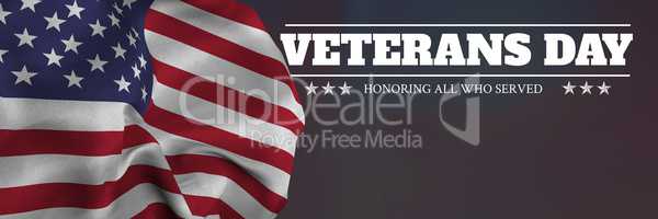 veterans day flag