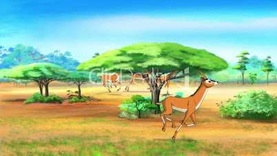 Herd of Antelopes or Gazelles Runs