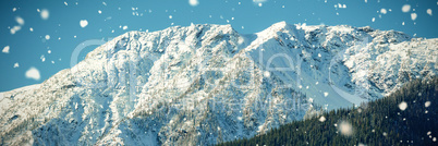 Snow covered mountain in forest