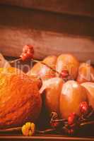 Pumpkins with plant stems on table