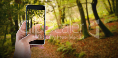 Composite image of close-up of hand holding smart phone