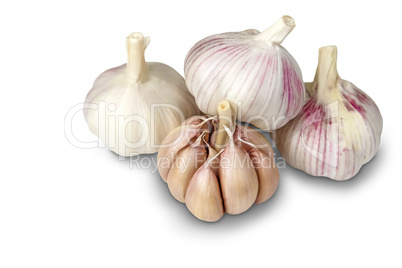 Garlic bulbs on white background.