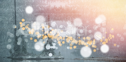 Trees in forest with bokeh in foreground