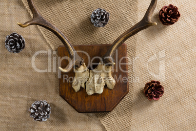 Reindeer thorn surrounded with pine cone
