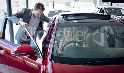 Salesman standing by customer sitting in car