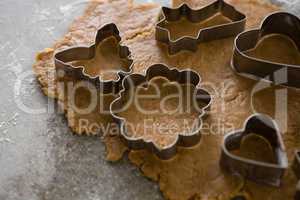 Gingerbread dough with flour and cookie cutter