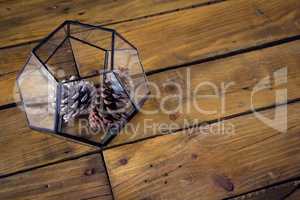 Pine cone in glass container