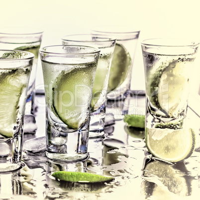 Selective focus. Gin tonic with lime wedges