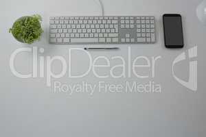 Keyboard, pen, mobile phone and pot plant on white background