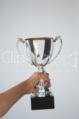 Hand holding a trophy against white background