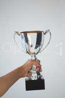 Hand holding a trophy against white background