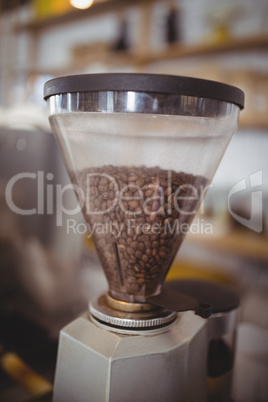 Close up of fresh roasted coffee beans in maker