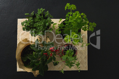 Various herbs in bowl