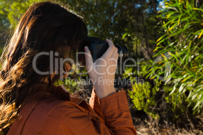 Woman photographing trees