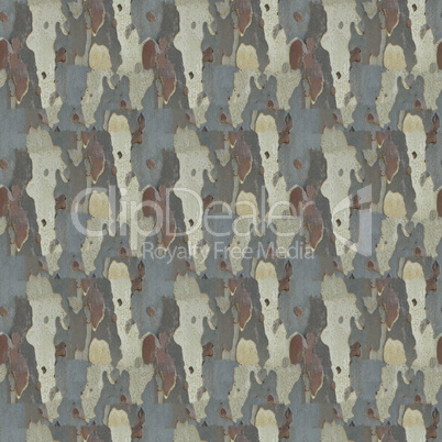 seamless texture bark background