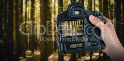 Composite image of cropped hand of photographer holding camera